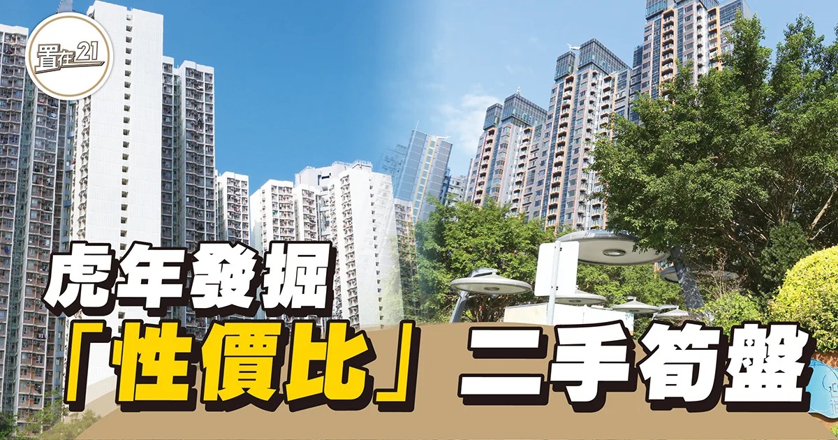 虎年發掘「性價比」二手筍盤