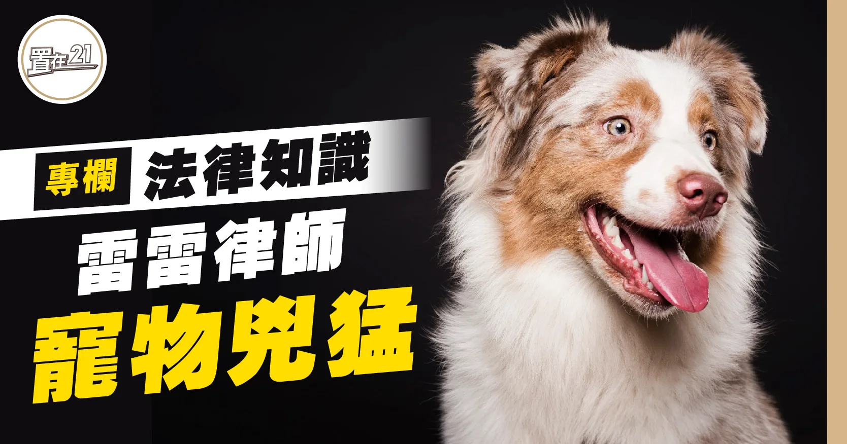 法律專欄：寵物兇猛