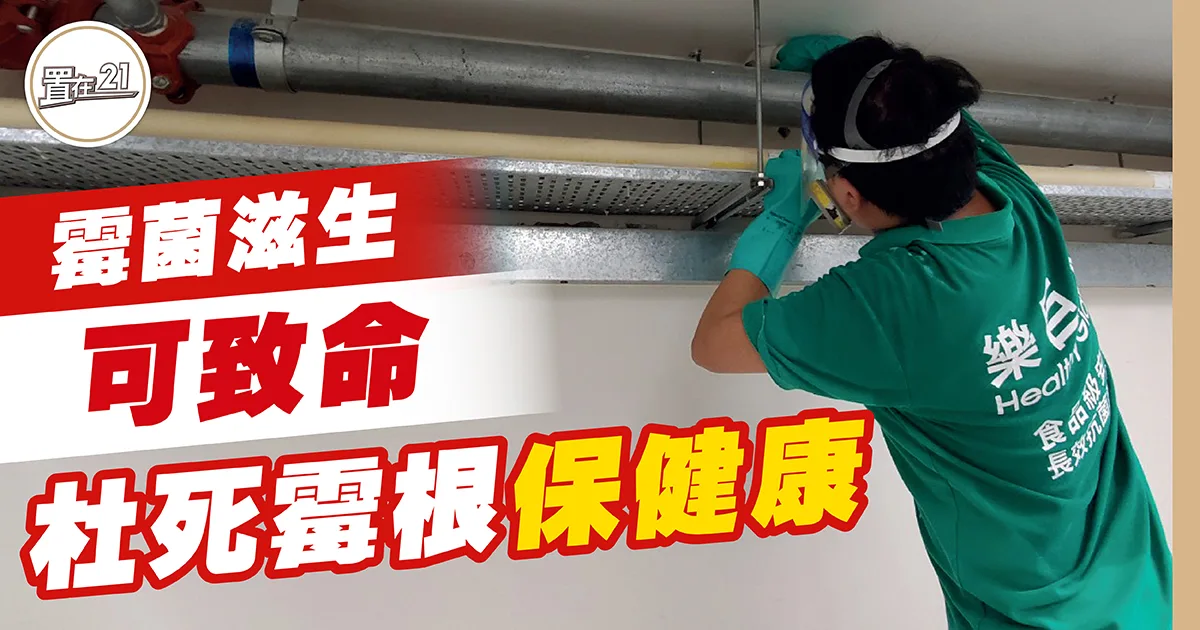 霉菌滋生可致命 杜死霉根保健康